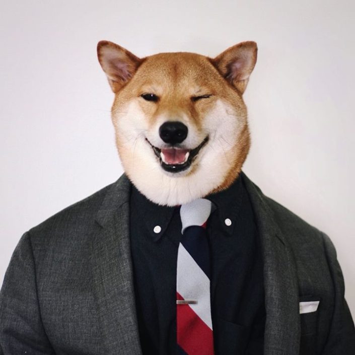 Menswear Dog giving you a wink!